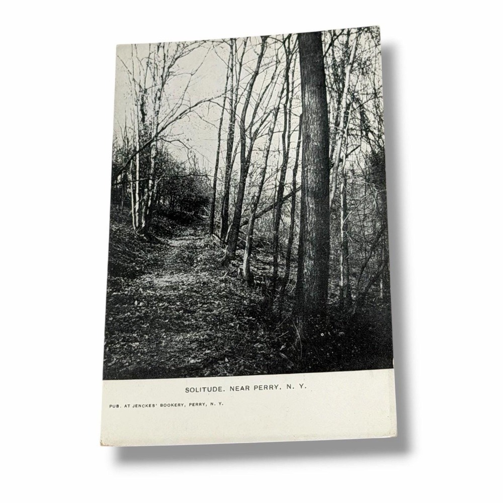 Postcard Solitude Near Perry New York Wooded Path Divided Back Card I185